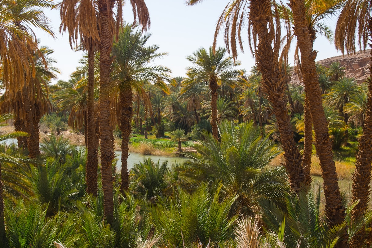 アルジェリアの風景