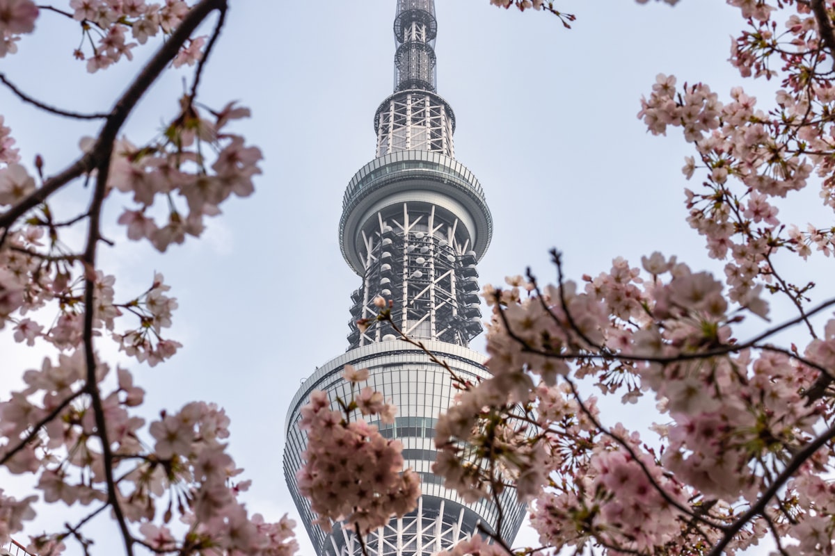 ベルギーの風景