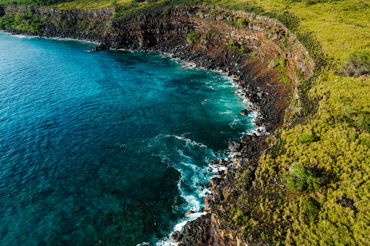 ハワイ島の風景