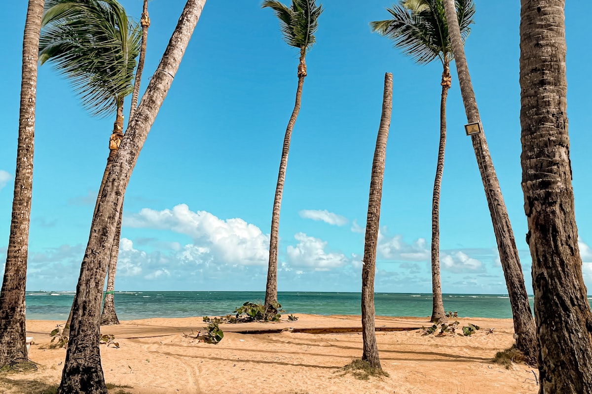 ドミニカ共和国の風景