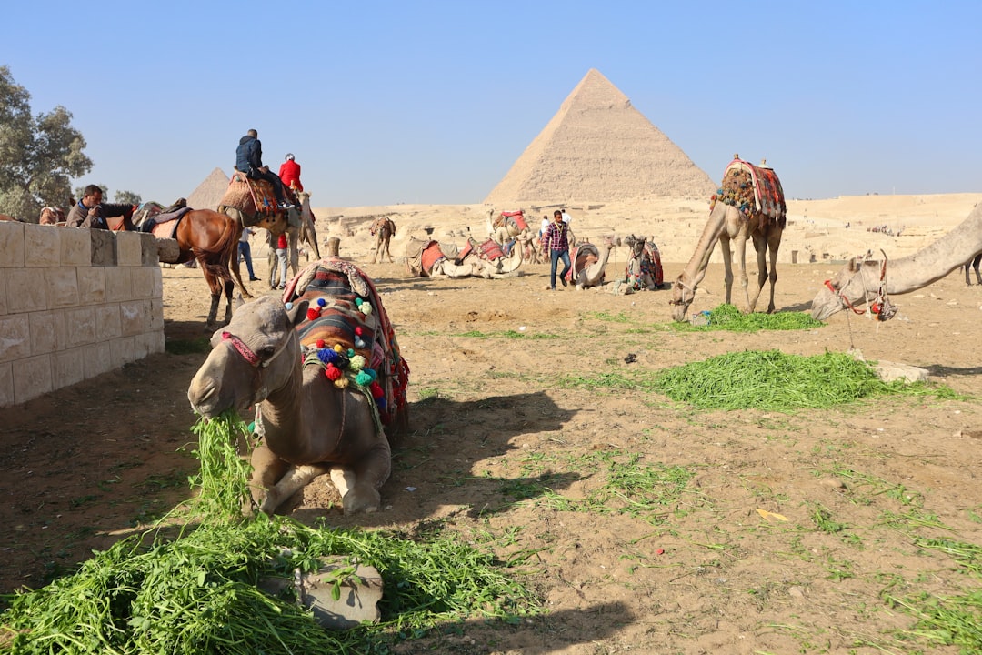 エジプトの風景