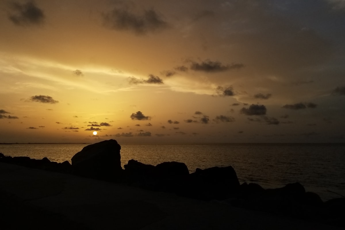 ガイアナの風景