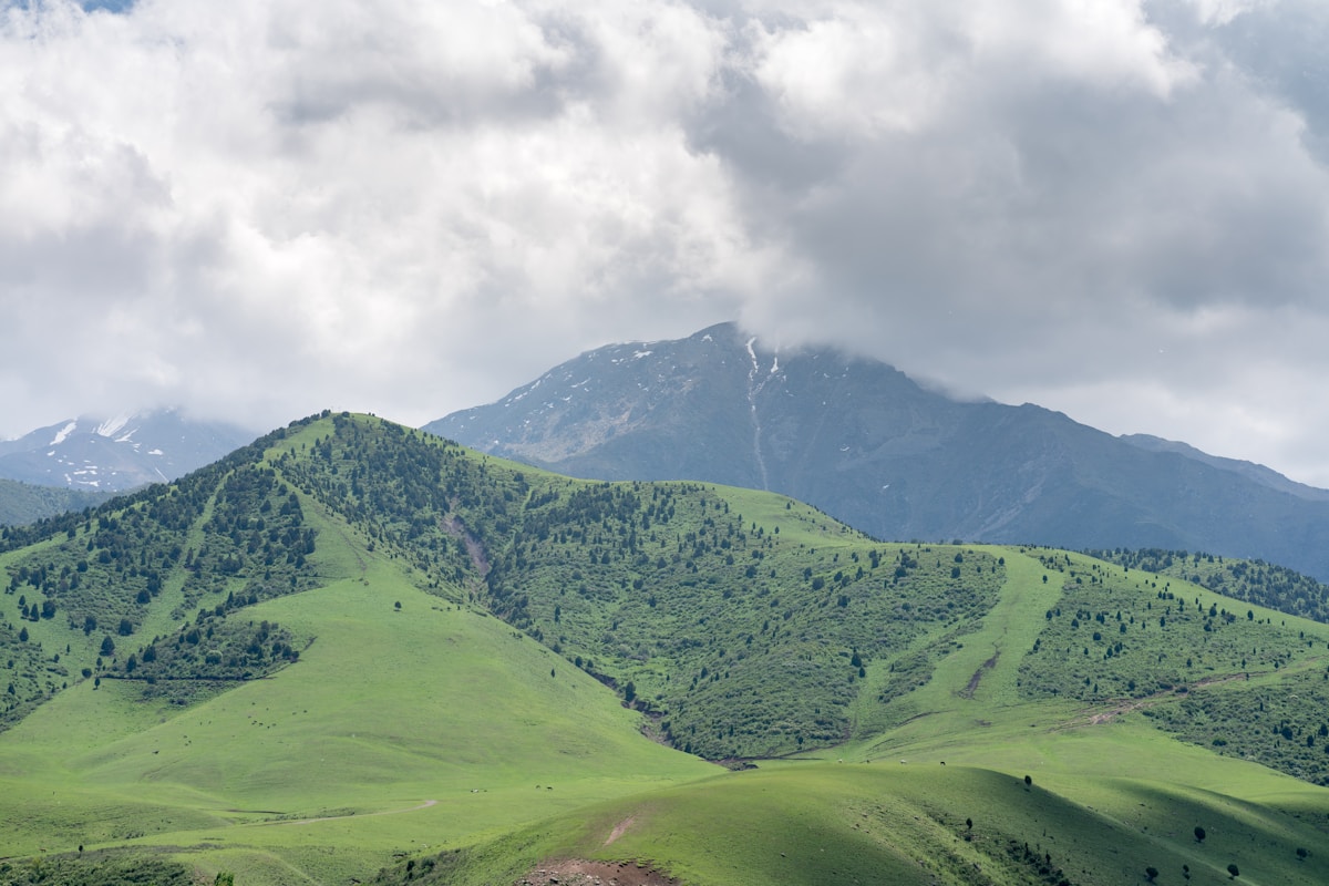 天山山脈の緑の山並み