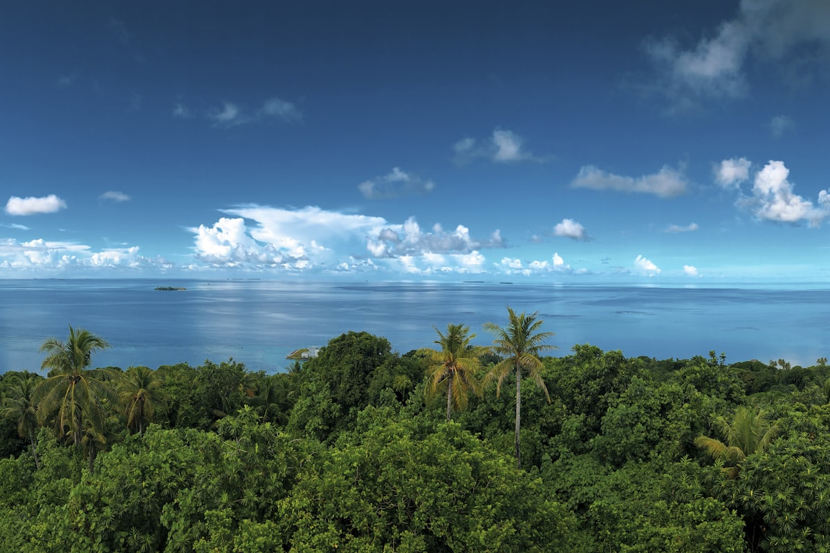 ミクロネシアの風景