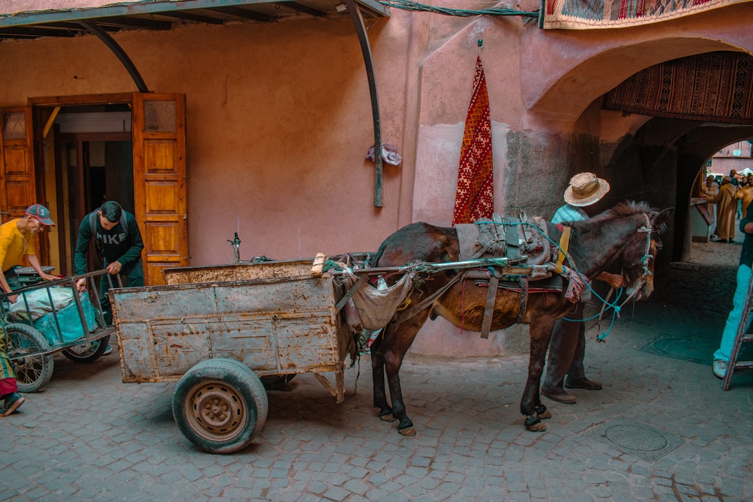 モロッコの風景