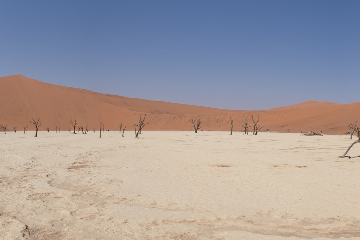 ナミビアの風景