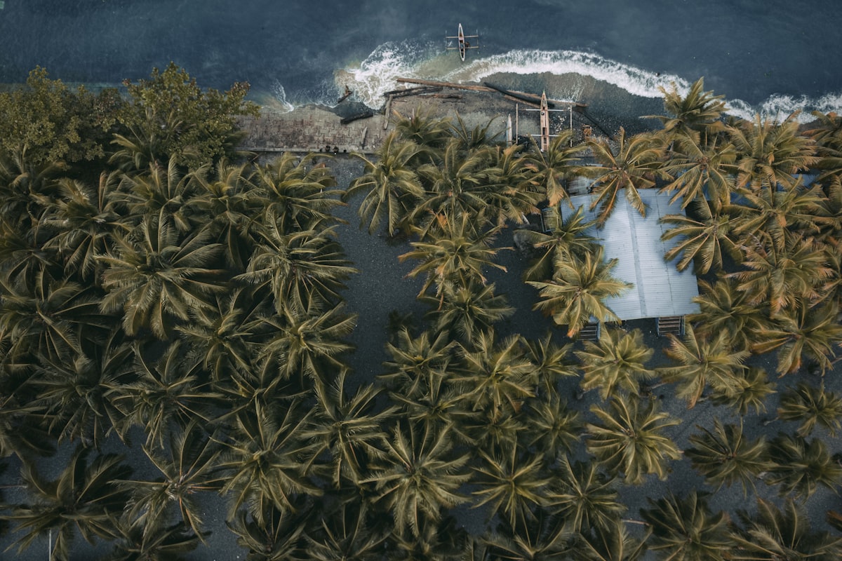 パプアニューギニアの風景