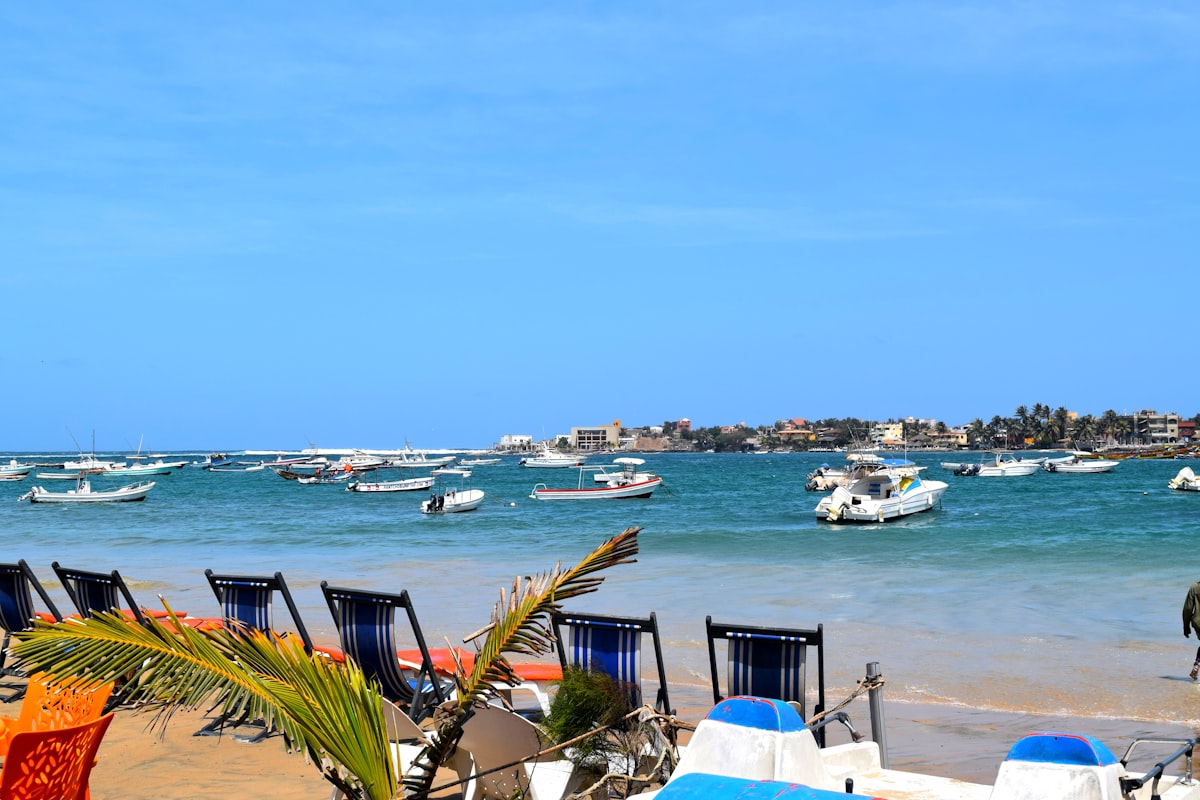 セネガルの風景