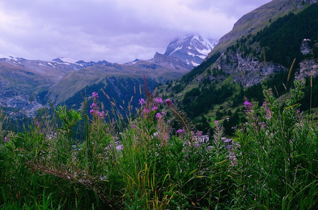 スイスの風景