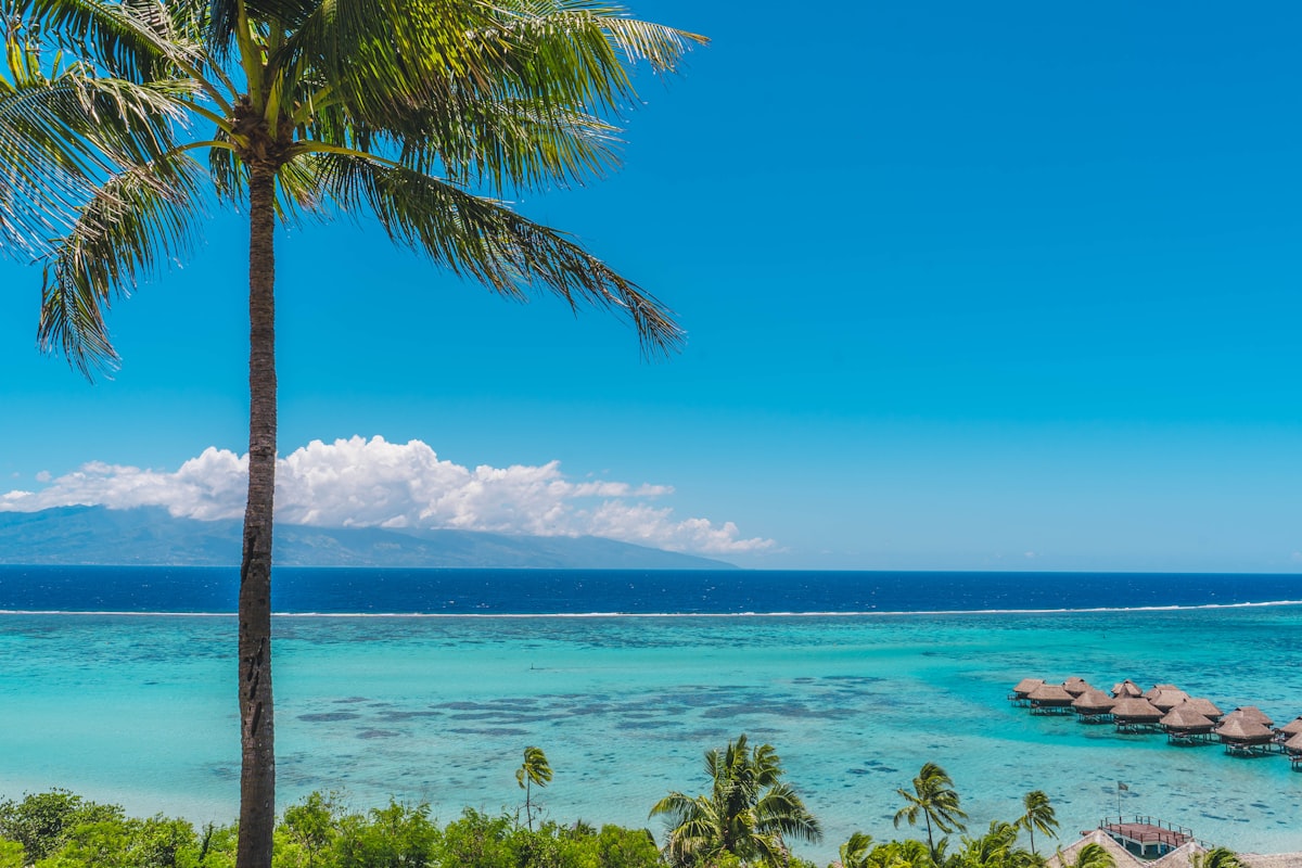 タヒチの風景