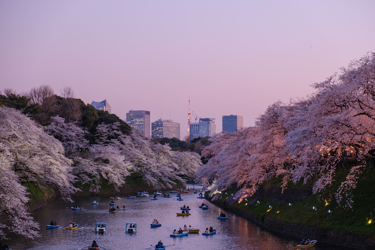 台湾の風景