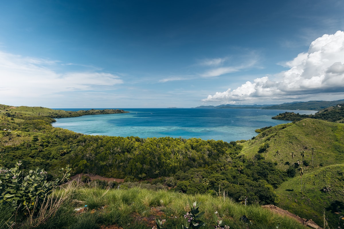 バヌアツの風景