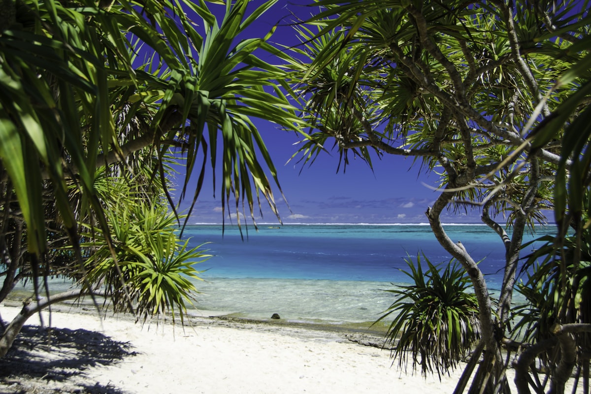 バヌアツの風景