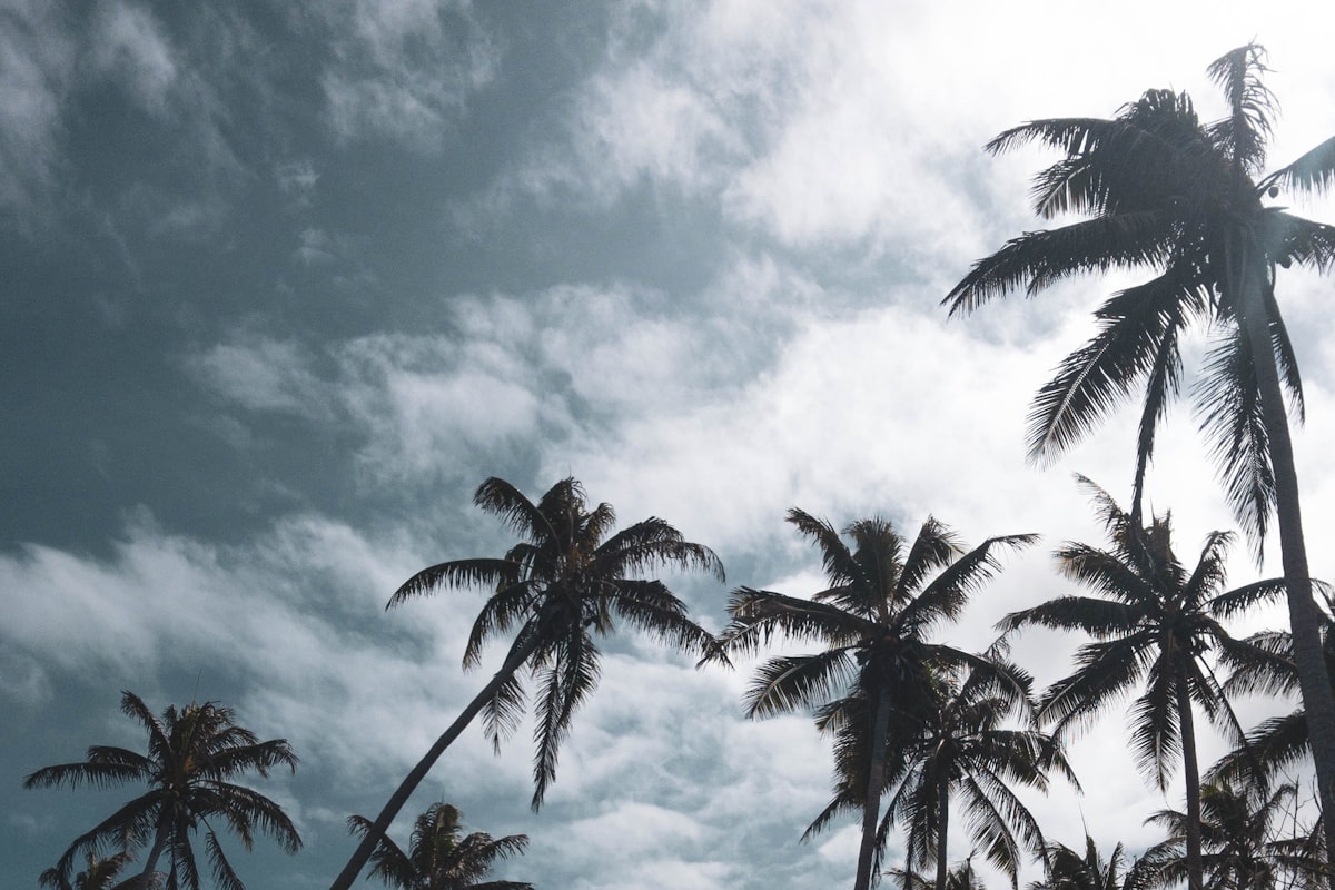 バヌアツの風景