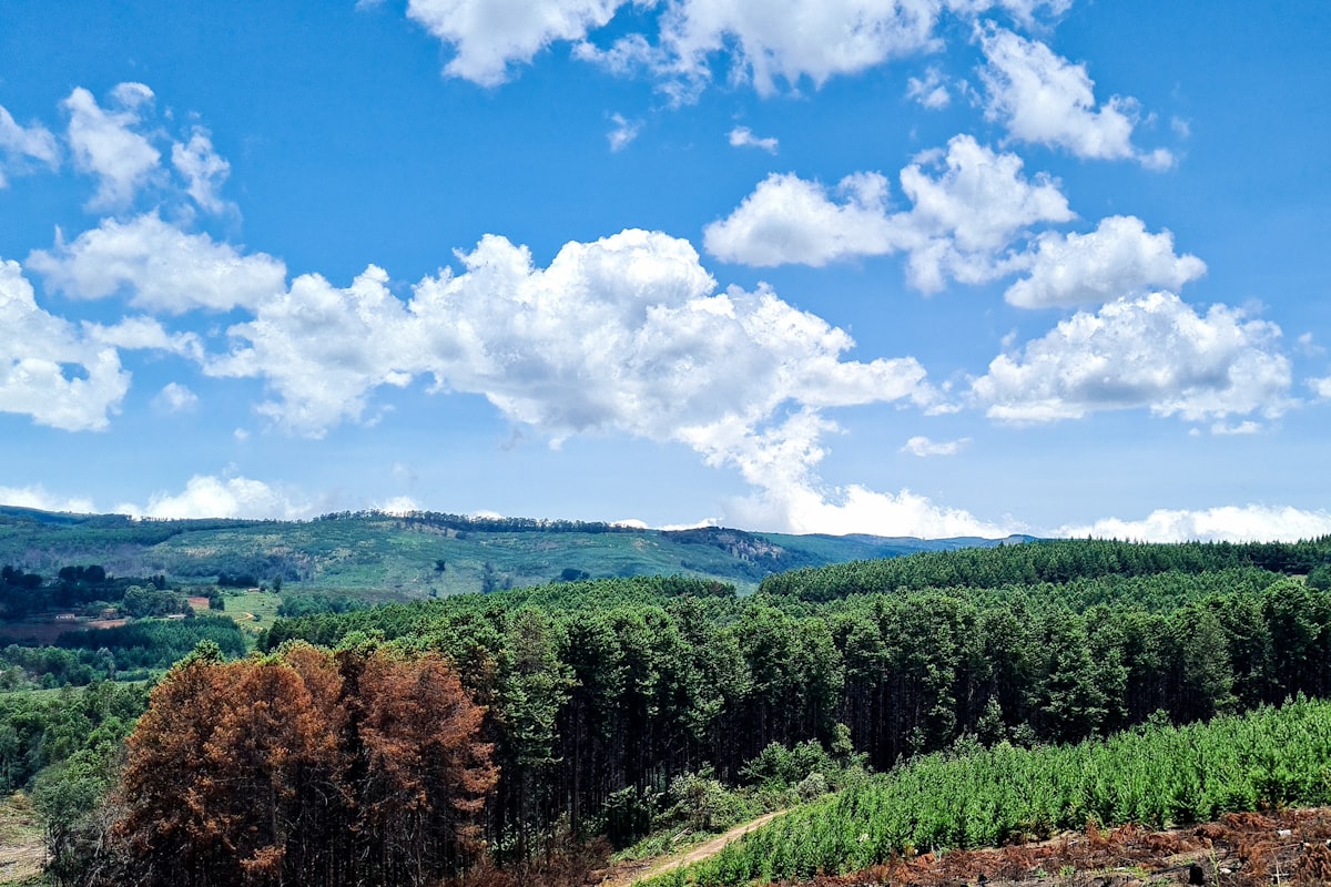 ジンバブエの風景